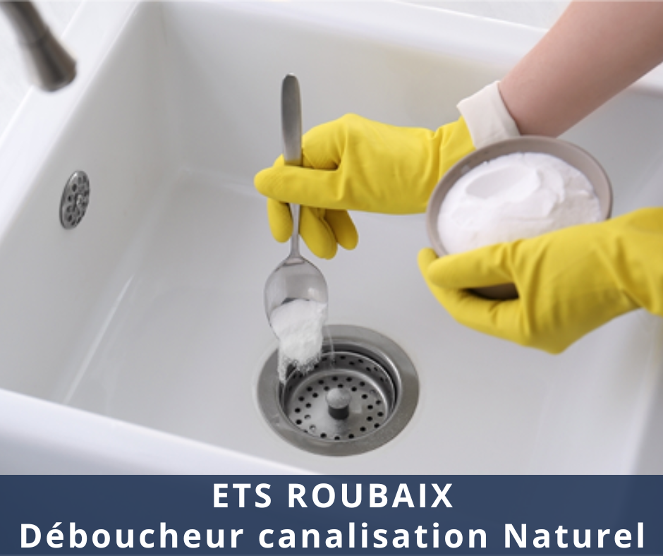 Déboucheur canalisation Naturel