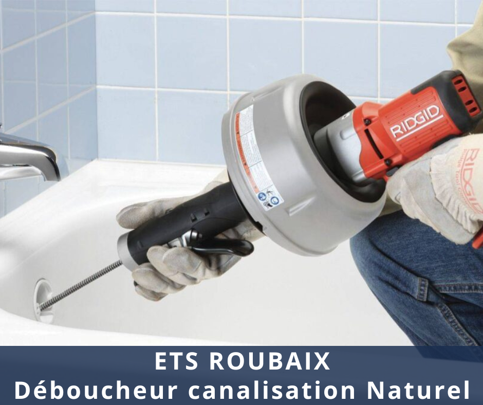 Déboucheur canalisation Naturel