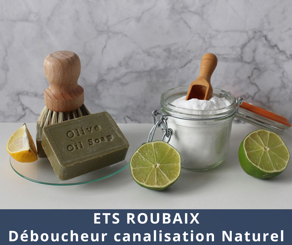 Déboucheur canalisation Naturel