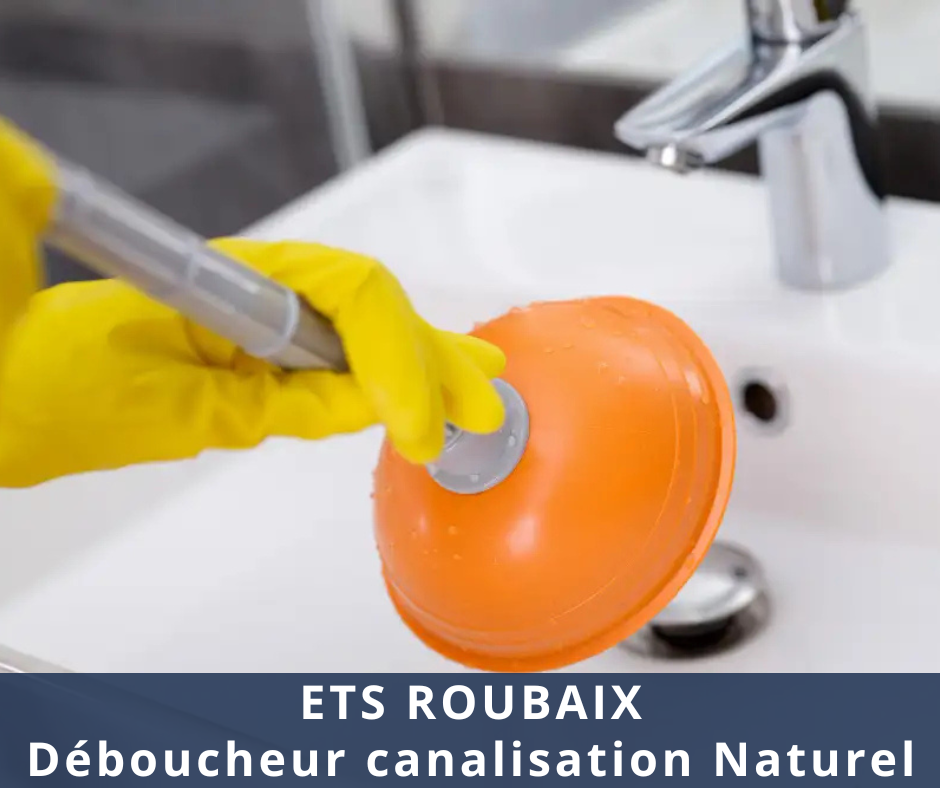 Déboucheur canalisation Naturel