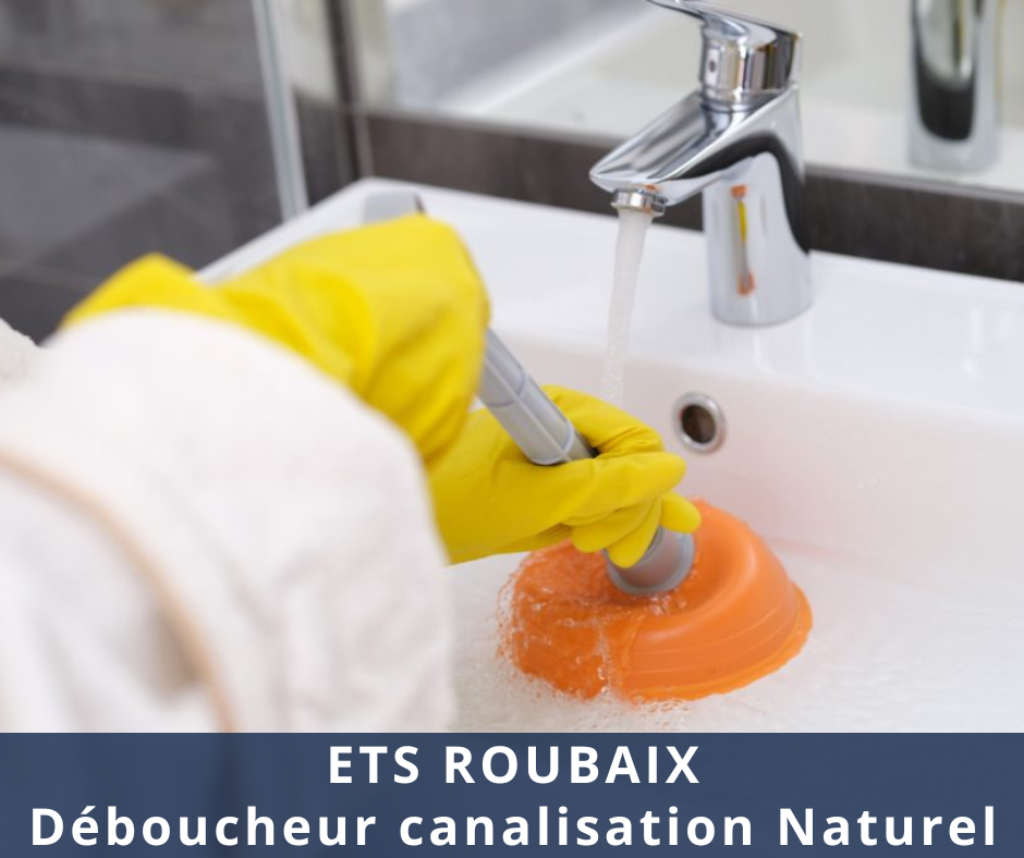 Déboucheur canalisation Naturel